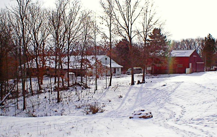 Need Help Heating Shop - Homesteading Questions